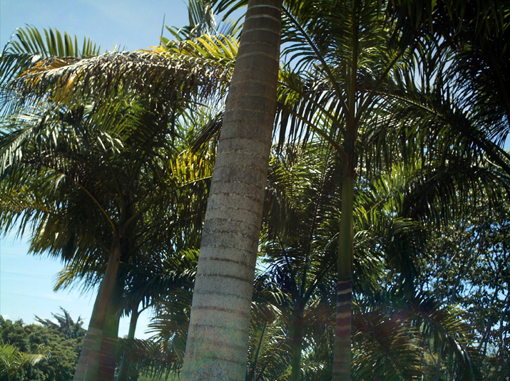 28 - Jardin des eaux 040.jpg
